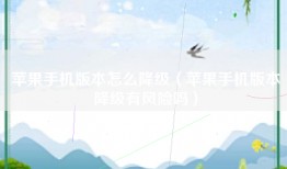 苹果手机版本怎么降级（苹果手机版本降级有风险吗）