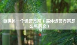 自媒体一个运营方案（媒体运营方案怎么写范文）