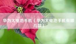 华为大电池手机（华为大电池手机有哪几款）