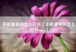 手机麦克风怎么打开（手机麦克风怎么打开oppo）
