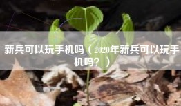 新兵可以玩手机吗（2020年新兵可以玩手机吗？）