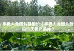 手机大全图片及报价（手机大全图片及报价天板产品库）