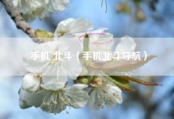 手机 北斗（手机北斗导航）