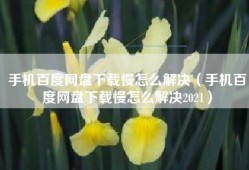 手机百度网盘下载慢怎么解决（手机百度网盘下载慢怎么解决2021）