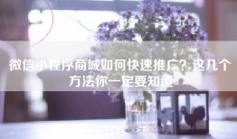 微信小程序商城如何快速推广？这几个方法你一定要知道