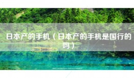 日本产的手机（日本产的手机是国行的吗）