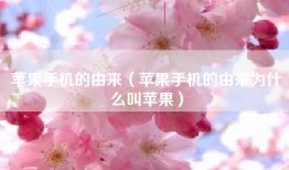 苹果手机的由来（苹果手机的由来为什么叫苹果）
