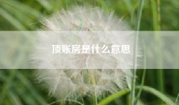 顶账房是什么意思