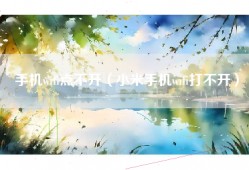 手机wifi点不开（小米手机wifi打不开）
