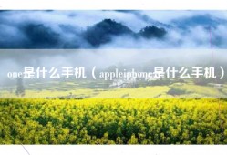 one是什么手机（appleiphone是什么手机）