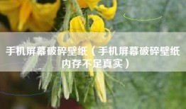 手机屏幕破碎壁纸（手机屏幕破碎壁纸 内存不足真实）