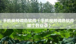 手机视频调色软件（手机视频调色软件哪个好安卓）