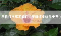 手机打字练习软件（手机练字软件免费）