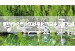推动传统产业在数字化转型中变革升级