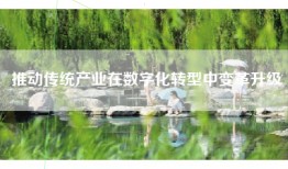 推动传统产业在数字化转型中变革升级