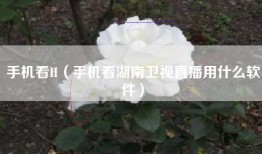 手机看H（手机看湖南卫视直播用什么软件）