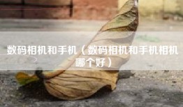 数码相机和手机（数码相机和手机相机哪个好）