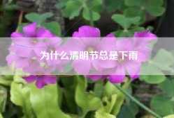为什么清明节总是下雨