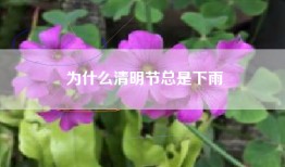 为什么清明节总是下雨