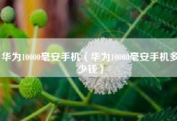华为10000毫安手机（华为10000毫安手机多少钱）