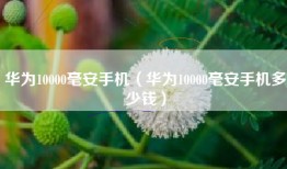 华为10000毫安手机（华为10000毫安手机多少钱）