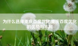 为什么选择重庆百度优化,重庆百度优化的优势与不同