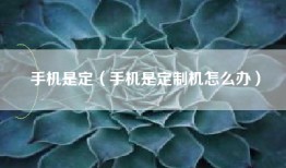手机是定（手机是定制机怎么办）