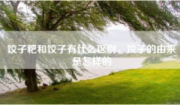 饺子粑和饺子有什么区别，饺子的由来是怎样的