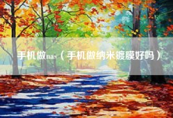 手机做nas（手机做纳米镀膜好吗）