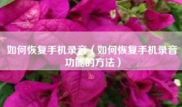 如何恢复手机录音（如何恢复手机录音功能的方法）