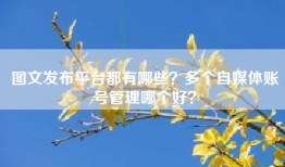 图文发布平台都有哪些？多个自媒体账号管理哪个好？
