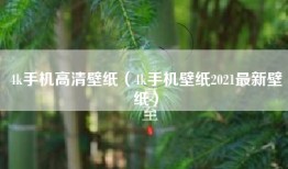 4k手机高清壁纸（4k手机壁纸2021最新壁纸）