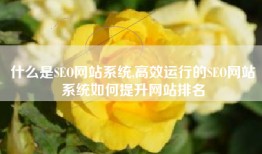 什么是SEO网站系统,高效运行的SEO网站系统如何提升网站排名