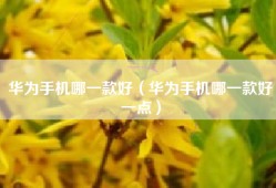 华为手机哪一款好（华为手机哪一款好一点）