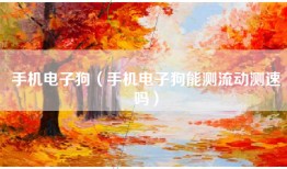 手机电子狗（手机电子狗能测流动测速吗）