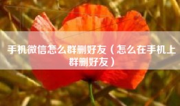 手机微信怎么群删好友（怎么在手机上群删好友）