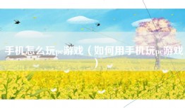 手机怎么玩pc游戏（如何用手机玩pc游戏）