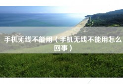 手机无线不能用（手机无线不能用怎么回事）