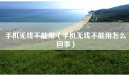 手机无线不能用（手机无线不能用怎么回事）