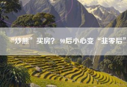 “炒熊”买房？ 90后小心变“韭零后”