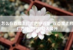 怎么在百度上打广告挣钱呢_在百度上打广告挣钱的秘籍大公开