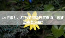 520来啦！小红书关键词热度查询，这波热点怎么蹭？