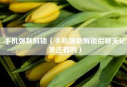 手机强制解锁（手机强制解锁后聊天记录还有吗）