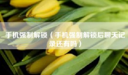 手机强制解锁（手机强制解锁后聊天记录还有吗）