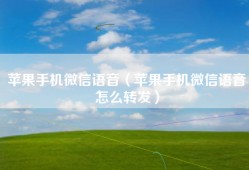苹果手机微信语音（苹果手机微信语音怎么转发）