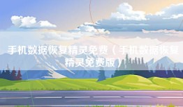 手机数据恢复精灵免费（手机数据恢复精灵免费版）
