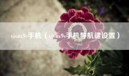 vivox9s手机（vivox9s手机导航键设置）