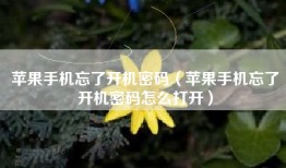 苹果手机忘了开机密码（苹果手机忘了开机密码怎么打开）