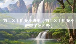 为什么手机充不进电（为什么手机充不进电了怎么办）