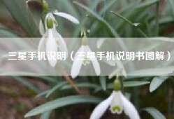 三星手机说明（三星手机说明书图解）